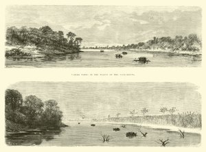 Varied Views in the Plains of the Sacramento by Edouard Riou